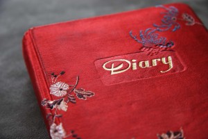 Red Diary Book Cover